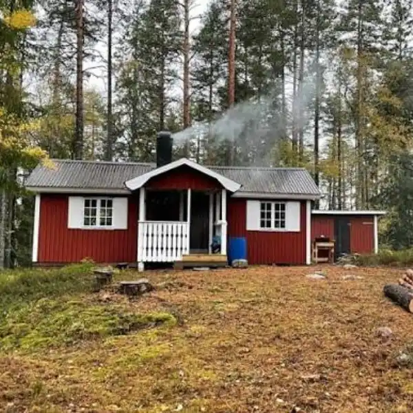 Scandinavian Style Forest Cabin Styled to Glow the Scandinavian Style Forest Cabin