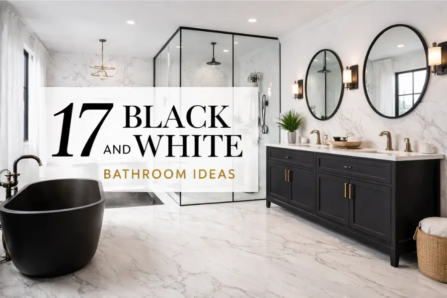 the black and white bathroom ideas